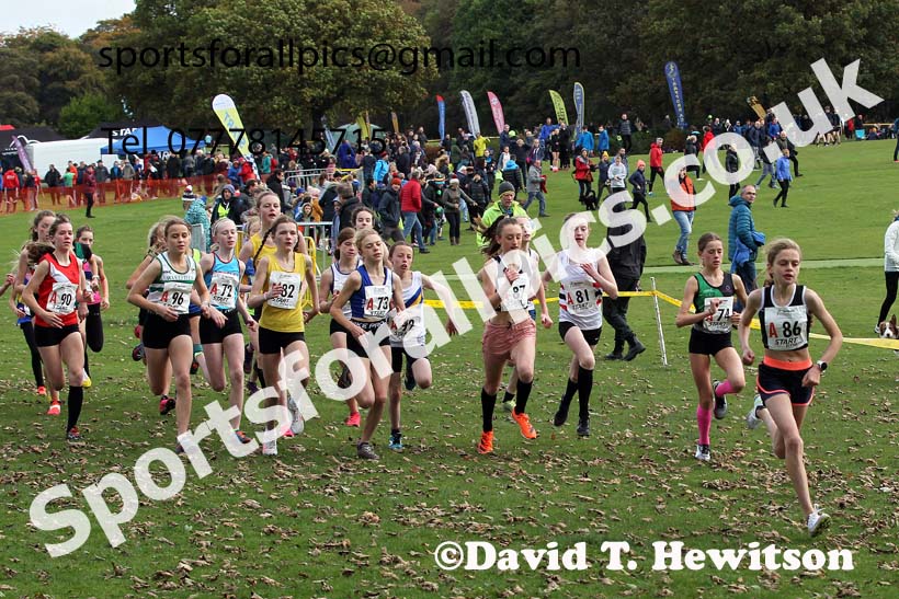 Girls under-13s Northern Cross Country Relays, Graves Park, Sheffield. Photo: David T. Hewitson/Sports for All Pics